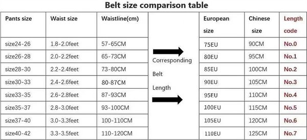 셀린느 틴 트리옹프 벨트 [매장가 73만원대]