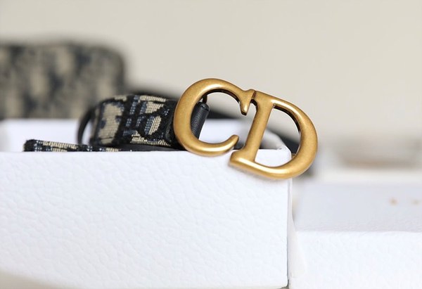 디올 Saddle 벨트[매장가90만원대]