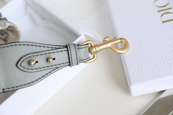 디올 링 숄더 스트랩 / 그레이 [매장가205만원대]