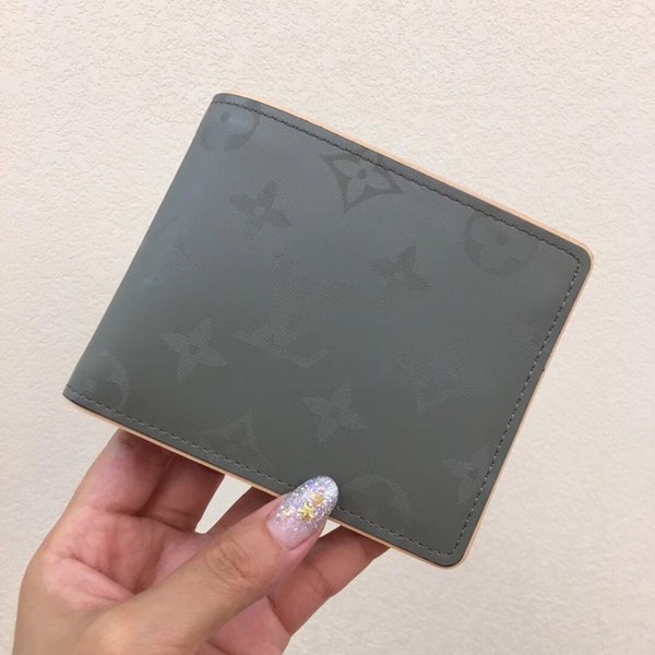 루이비통 티타늄 멀티플 월릿 M63297