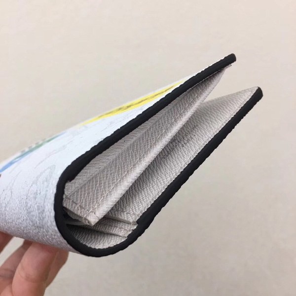 루이비통 브라짜 월릿 M67823