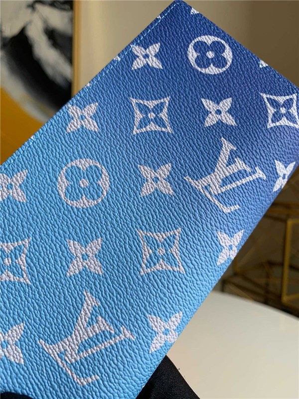 루이비통 바자 장지갑 M48456 2020/신상