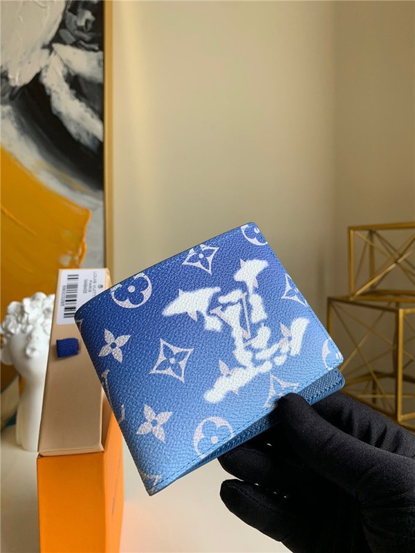 루이비통 멀티플 반지갑 M48455 2020/신상