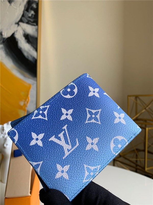 루이비통 멀티플 반지갑 M48455 2020/신상