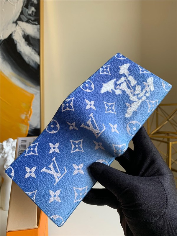 루이비통 멀티플 반지갑 M48455 2020/신상