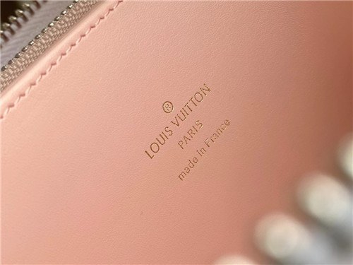 Louis Vuitton 2021 Women's Leather Wallet,19.5cm,M80494,LOUW0491