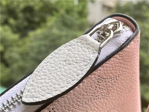 Louis Vuitton 2021 Women's Leather Wallet,19.5cm,M80494,LOUW0491