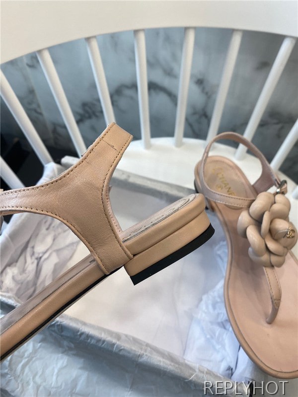 샤넬 여성용 샌들 C94889-4 2020/신상