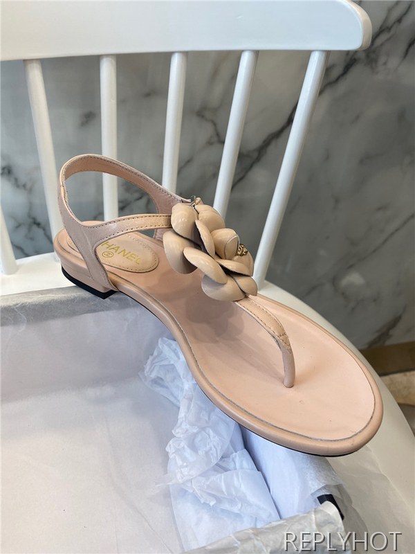 샤넬 여성용 샌들 C94889-4 2020/신상