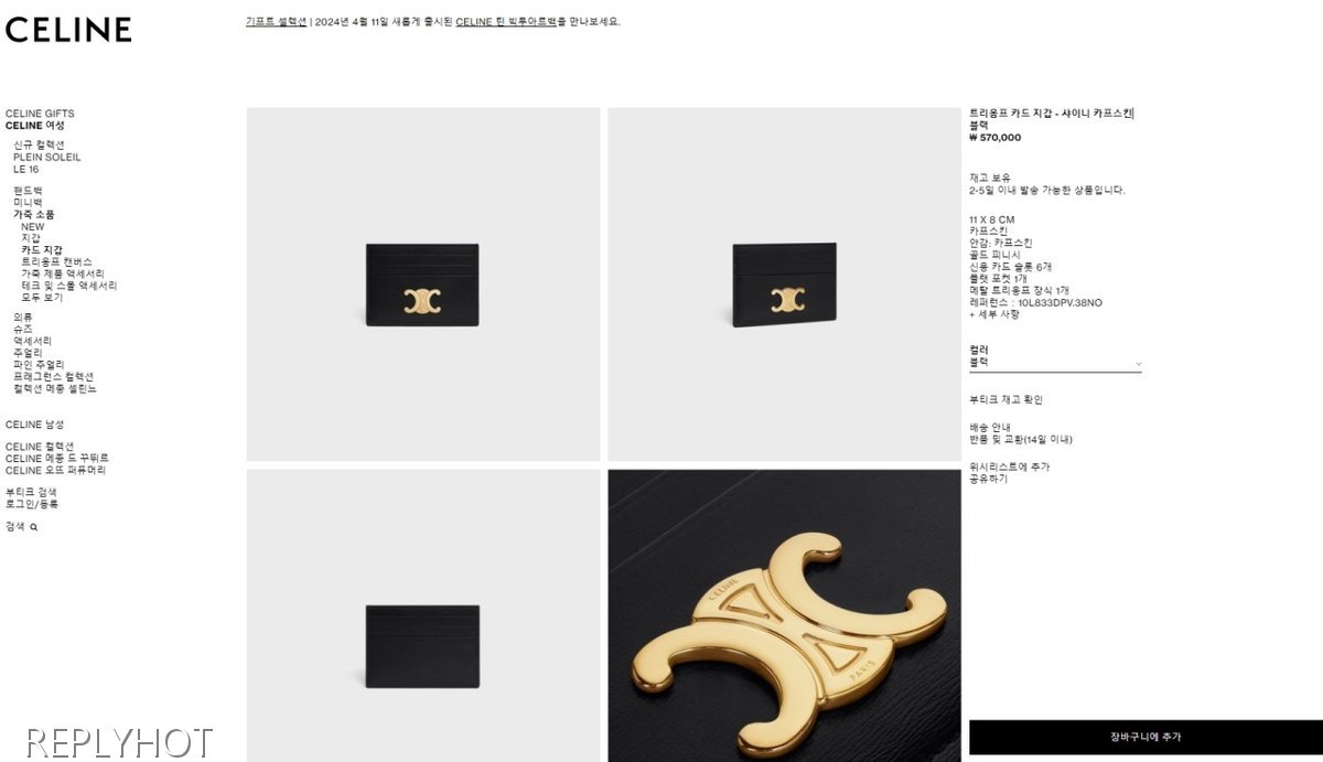 셀린느 트리웅프 카드지갑 (블랙)