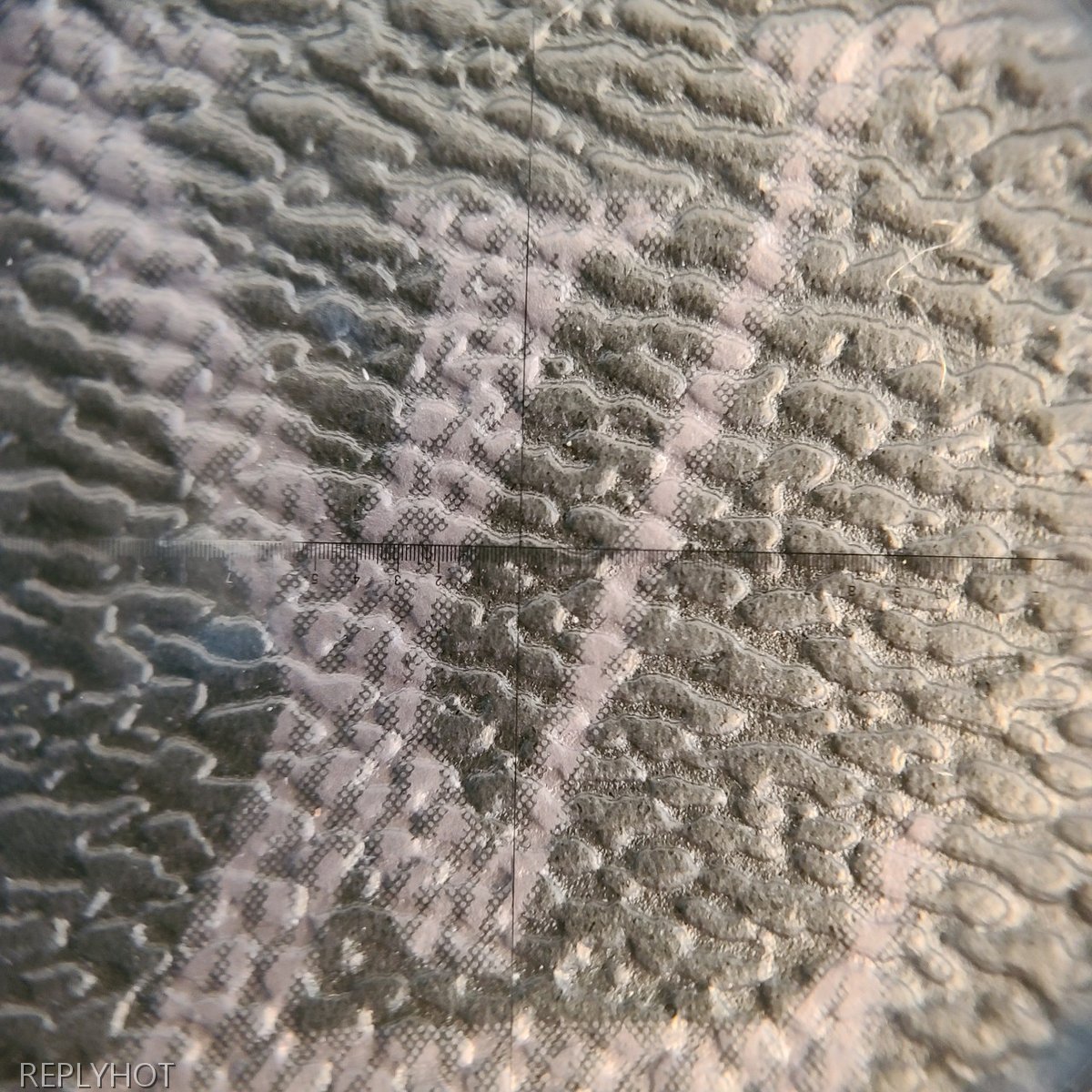 루이비통 더블 카드 홀더 모노그램 이클립스 캔버스 카드 지갑