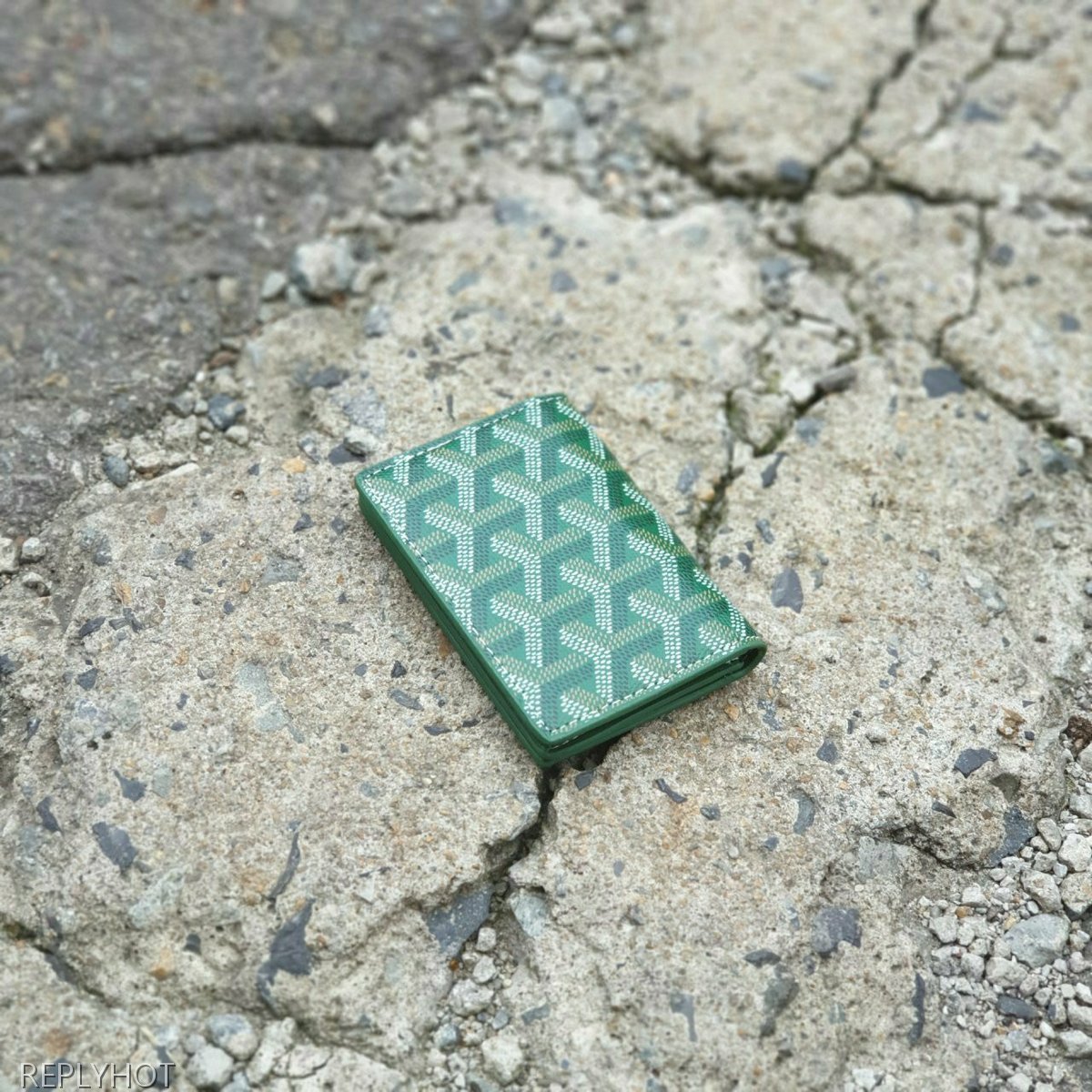 고야드 카드 명함 지갑 그린