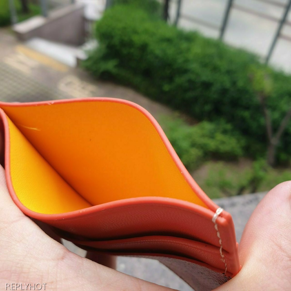 고야드 카드 지갑 오렌지