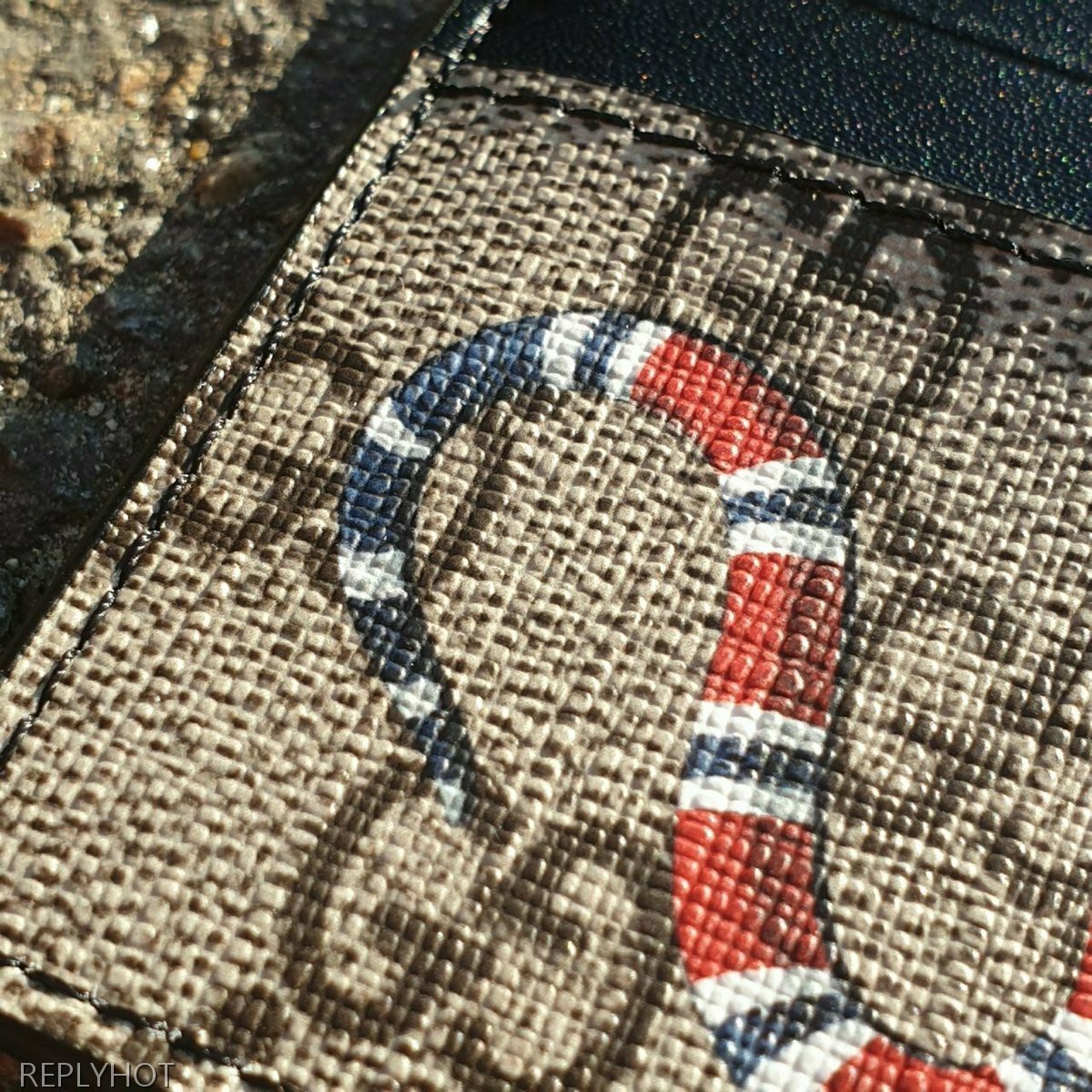 GG수프림 스네이크 프린트 카드지갑 브라운