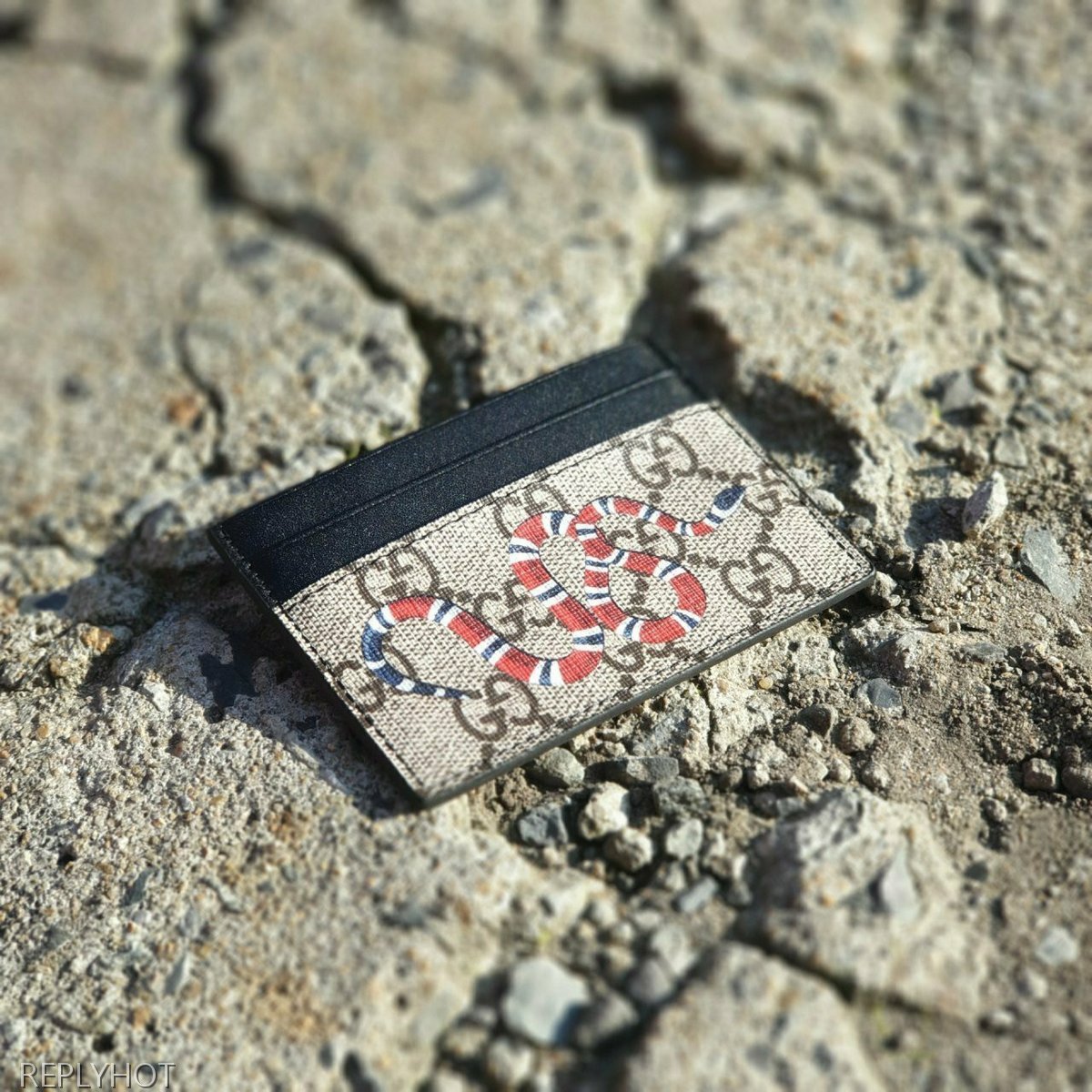 GG수프림 스네이크 프린트 카드지갑 브라운