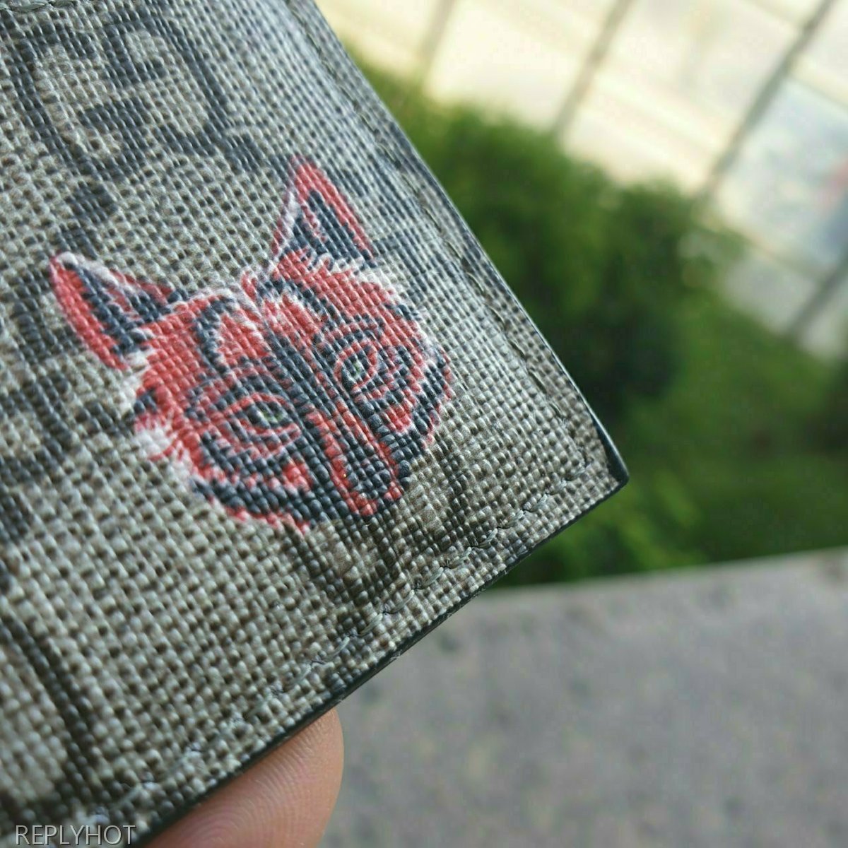 구찌 GG수프림 울프 프린트 카드지갑 브라운