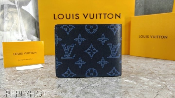 루이비통 M80422 멀티플 월릿 지갑