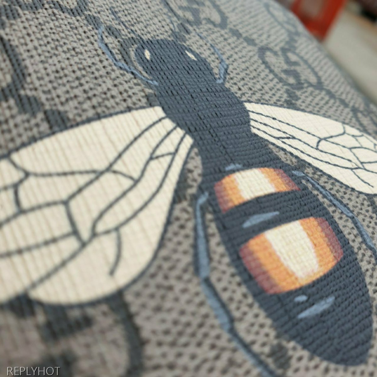 구찌 꿀벌 반지갑 브라운