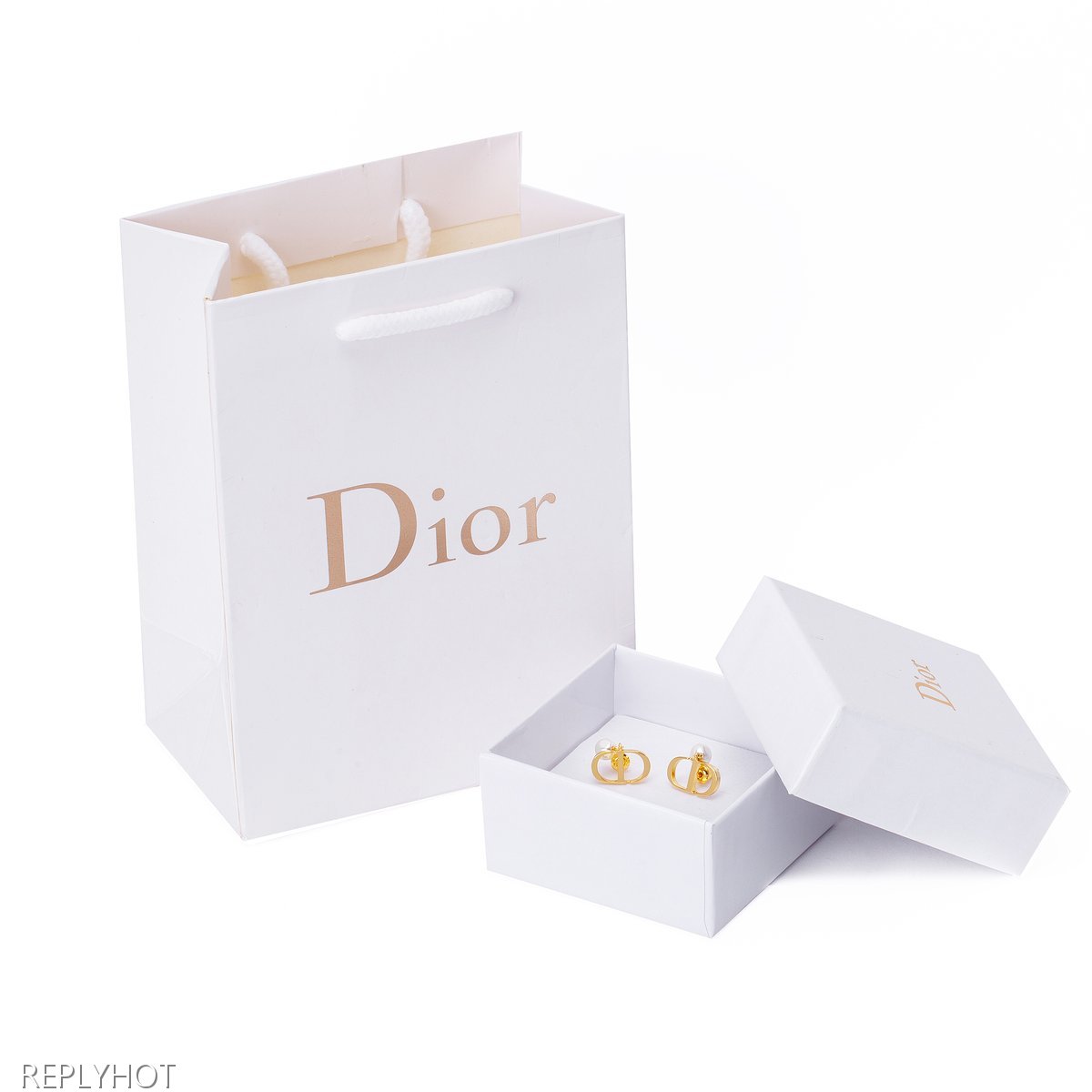 디올 로고 TRIBALES귀걸이