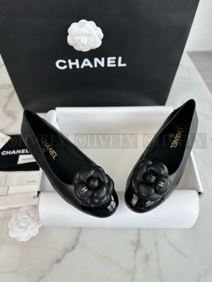 샤넬 까멜리아 발레리나 플랫