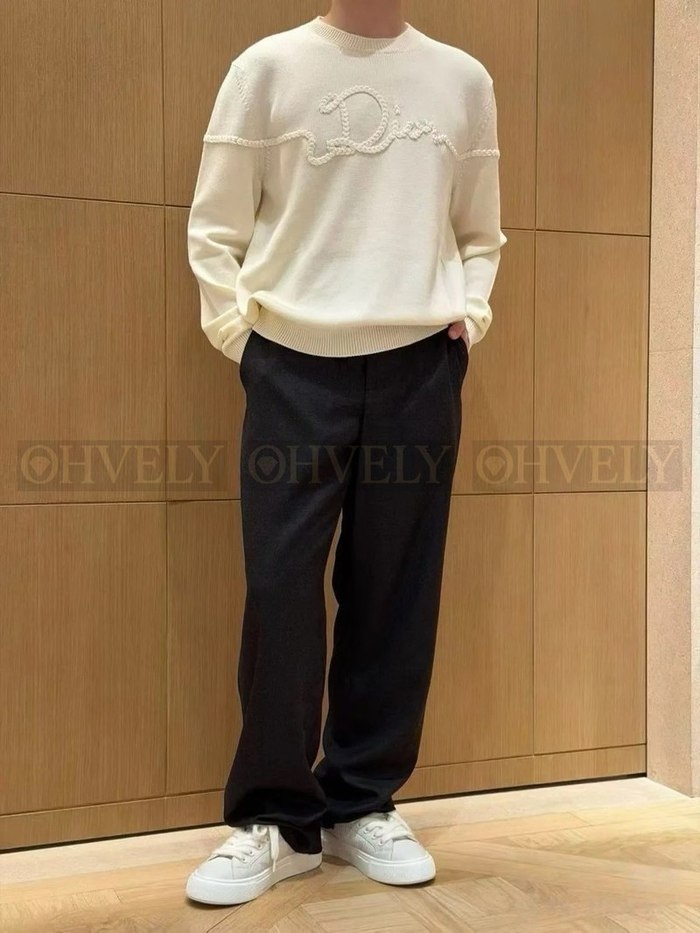 【 ZP 】DIOR 라운드 맨투맨 (매장가 320만원)