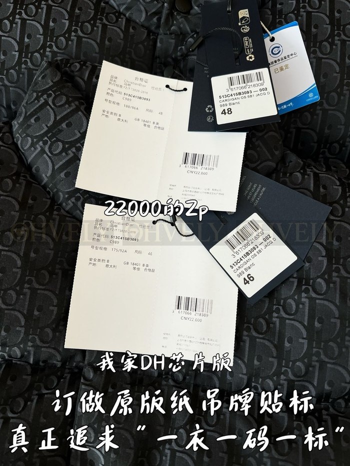 【 ZP 】DIOR 패딩 조끼 (매장가 440만원)