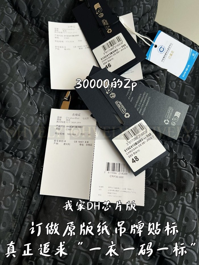 【 ZP 】DIOR 패딩 (매장가 600만원)