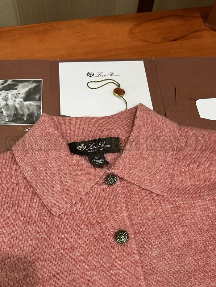 【 ZP 】LoroPiana 티셔츠 (매장가 332만원)