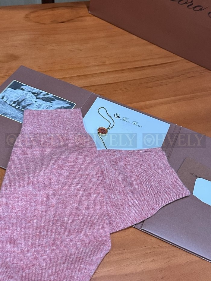 【 ZP 】LoroPiana 티셔츠 (매장가 332만원)